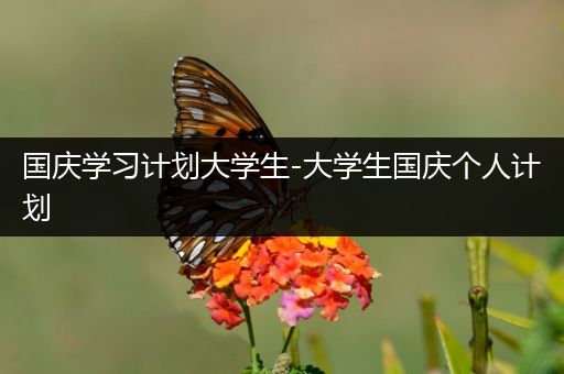 国庆学习计划大学生-大学生国庆个人计划