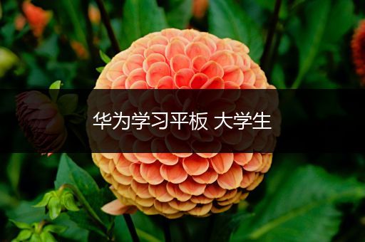 华为学习平板 大学生