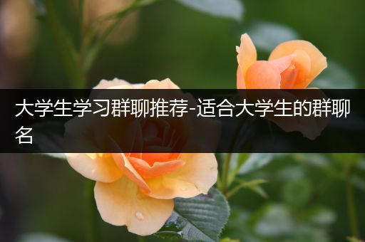 大学生学习群聊推荐-适合大学生的群聊名