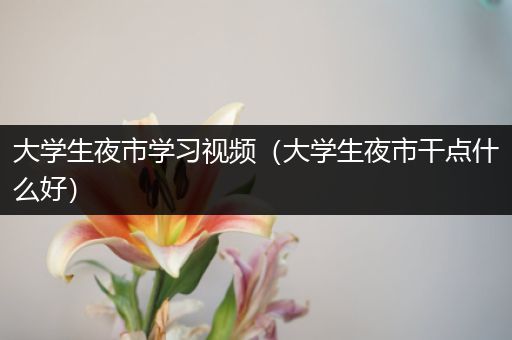 大学生夜市学习视频（大学生夜市干点什么好）