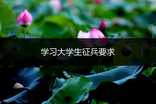 学习大学生征兵要求