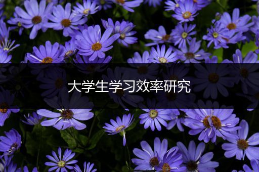 大学生学习效率研究