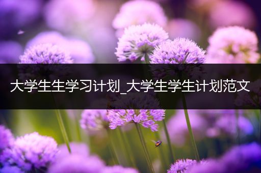 大学生生学习计划_大学生学生计划范文