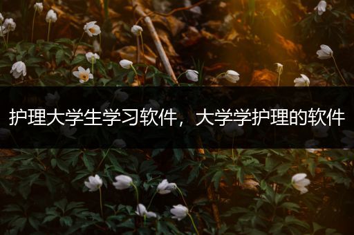 护理大学生学习软件，大学学护理的软件
