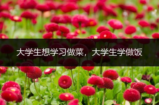 大学生想学习做菜，大学生学做饭