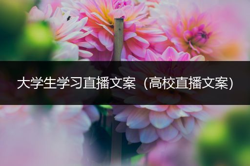 大学生学习直播文案（高校直播文案）