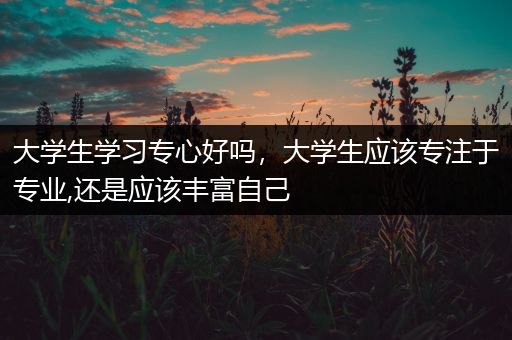 大学生学习专心好吗，大学生应该专注于专业,还是应该丰富自己