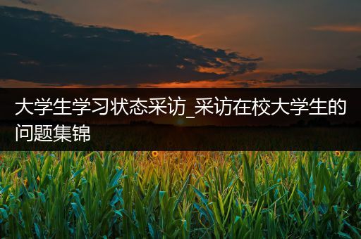 大学生学习状态采访_采访在校大学生的问题集锦
