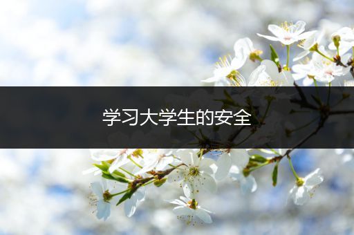 学习大学生的安全