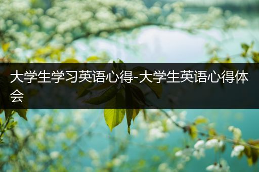 大学生学习英语心得-大学生英语心得体会
