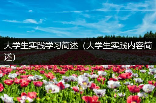大学生实践学习简述（大学生实践内容简述）