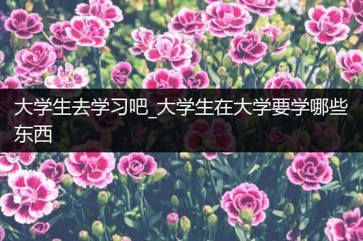 大学生去学习吧_大学生在大学要学哪些东西
