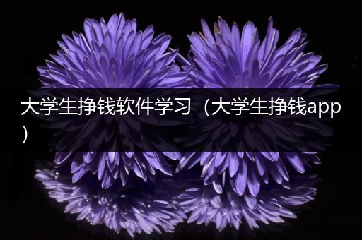 大学生挣钱软件学习（大学生挣钱app）