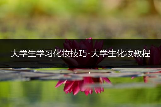 大学生学习化妆技巧-大学生化妆教程