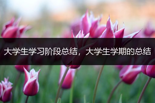 大学生学习阶段总结，大学生学期的总结
