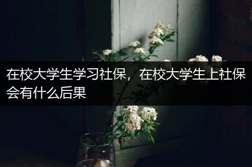 在校大学生学习社保，在校大学生上社保会有什么后果