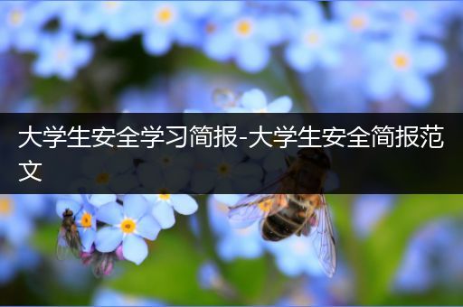 大学生安全学习简报-大学生安全简报范文