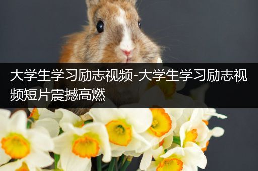 大学生学习励志视频-大学生学习励志视频短片震撼高燃