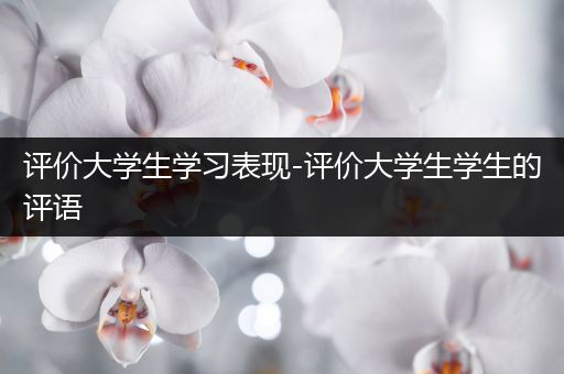 评价大学生学习表现-评价大学生学生的评语