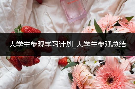 大学生参观学习计划_大学生参观总结