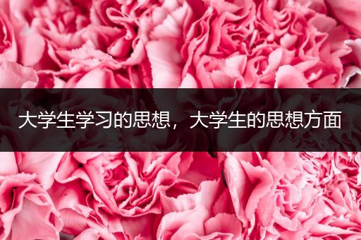 大学生学习的思想，大学生的思想方面