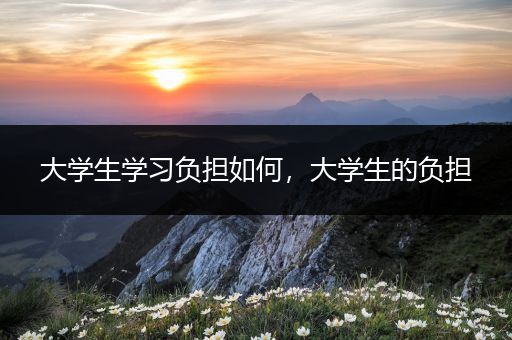 大学生学习负担如何，大学生的负担