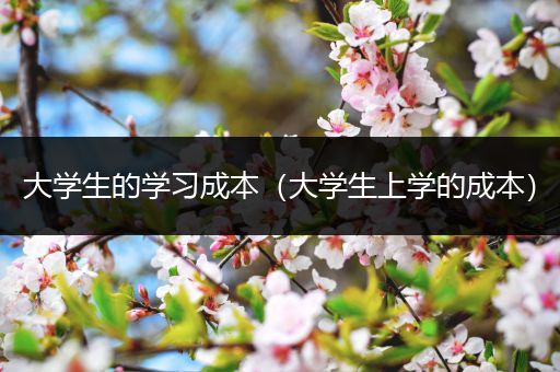 大学生的学习成本（大学生上学的成本）