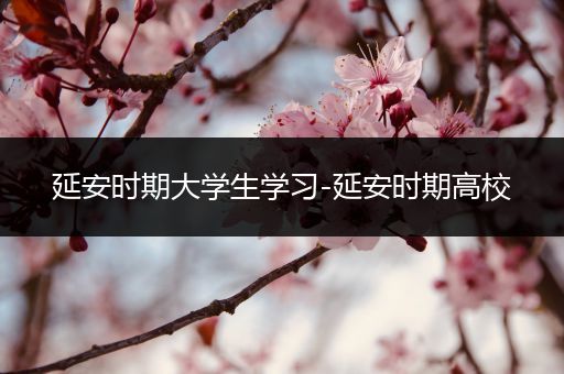 延安时期大学生学习-延安时期高校