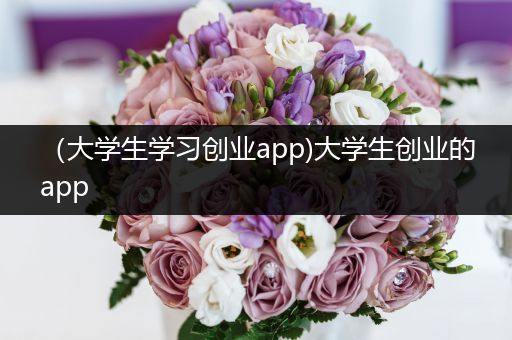 （大学生学习创业app)大学生创业的app