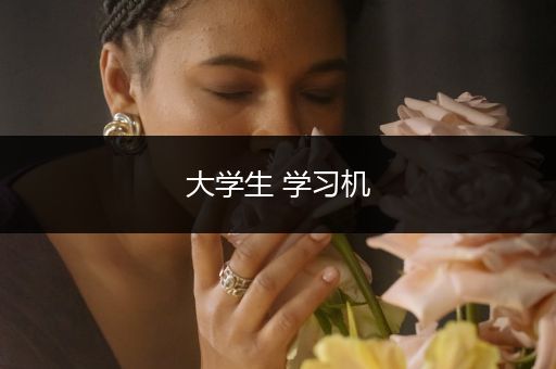 大学生 学习机