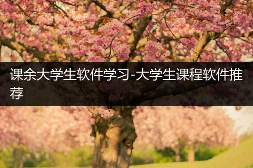 课余大学生软件学习-大学生课程软件推荐