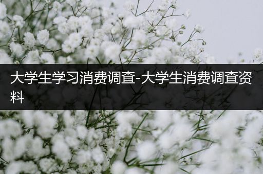 大学生学习消费调查-大学生消费调查资料