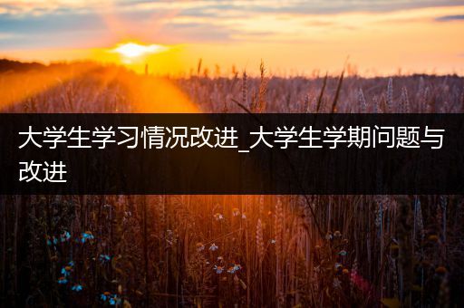 大学生学习情况改进_大学生学期问题与改进