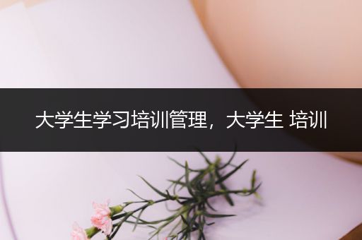 大学生学习培训管理，大学生 培训