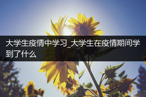大学生疫情中学习_大学生在疫情期间学到了什么