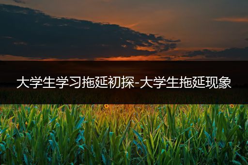 大学生学习拖延初探-大学生拖延现象