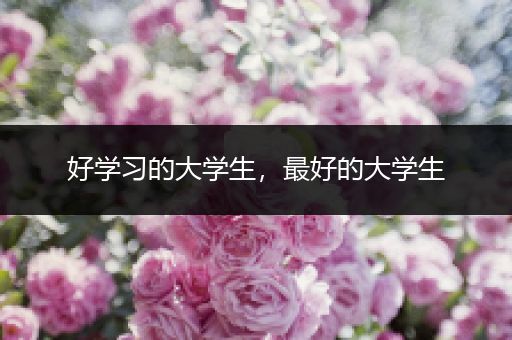 好学习的大学生，最好的大学生