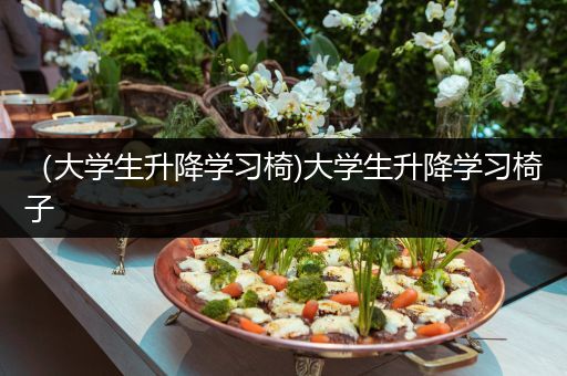 （大学生升降学习椅)大学生升降学习椅子