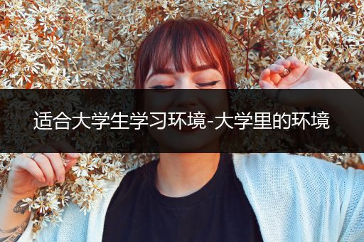 适合大学生学习环境-大学里的环境