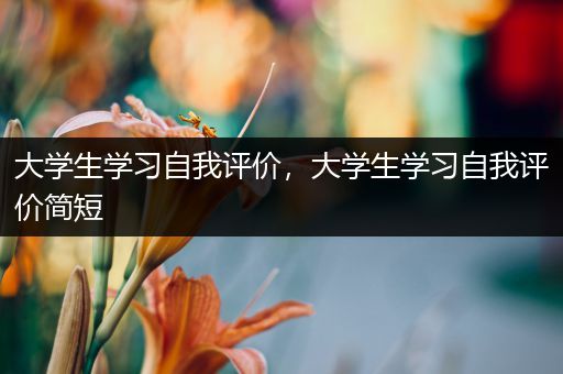 大学生学习自我评价，大学生学习自我评价简短