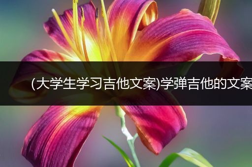 （大学生学习吉他文案)学弹吉他的文案