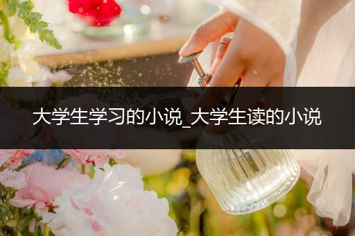 大学生学习的小说_大学生读的小说