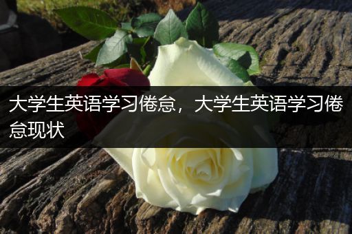 大学生英语学习倦怠，大学生英语学习倦怠现状