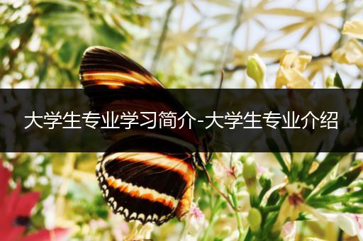 大学生专业学习简介-大学生专业介绍