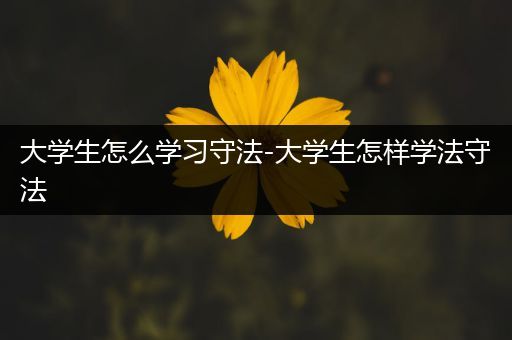 大学生怎么学习守法-大学生怎样学法守法