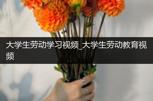大学生劳动学习视频_大学生劳动教育视频