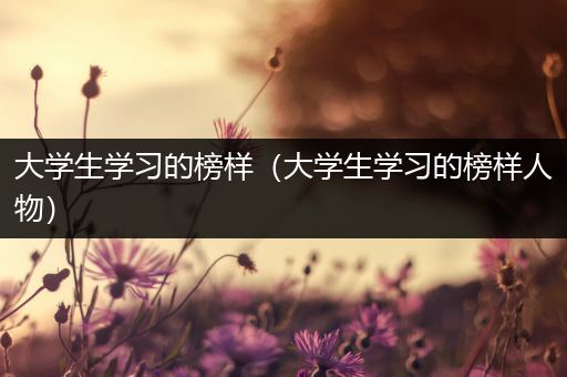 大学生学习的榜样（大学生学习的榜样人物）