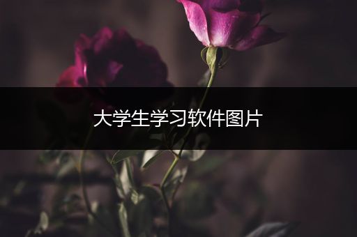 大学生学习软件图片