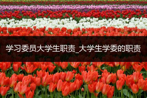 学习委员大学生职责_大学生学委的职责