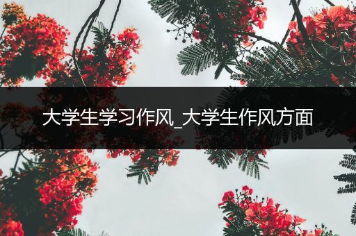 大学生学习作风_大学生作风方面